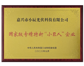 国家专精特新小巨人