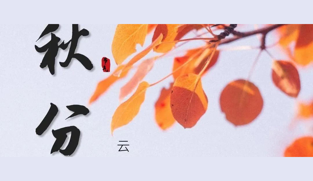 秋分